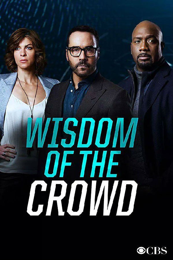 群策群力.Wisdom of the Crowd.第一季.S01E12