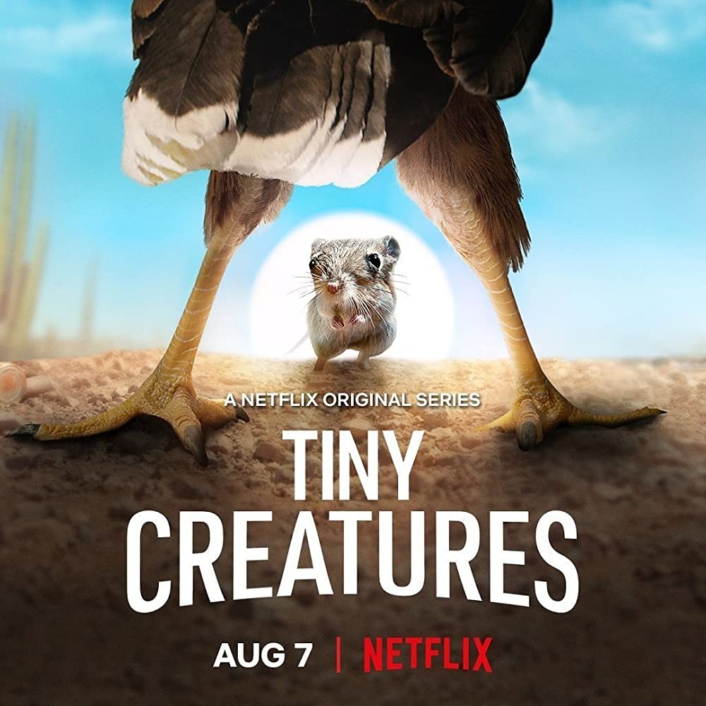 微观世界/Tiny Creatures.第一季全8集