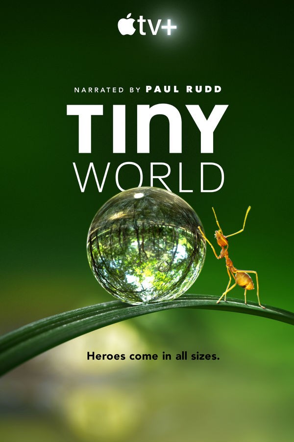 小小世界/Tiny World.1-2季全集