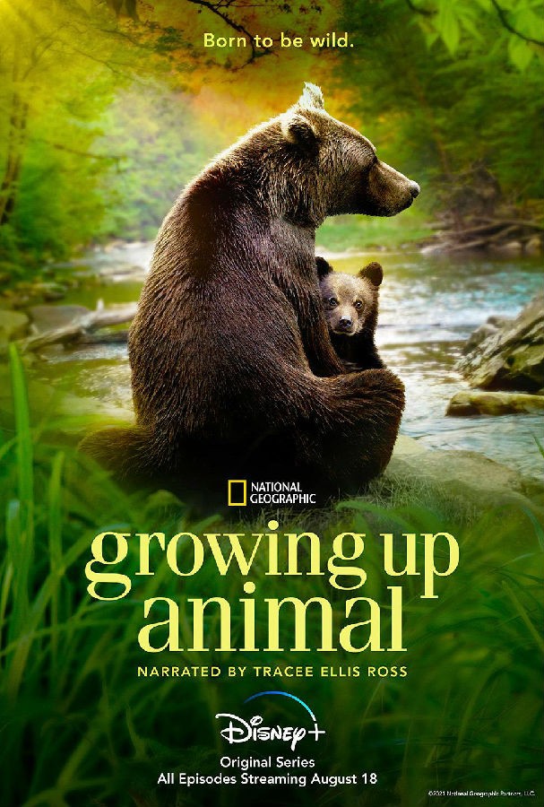 动物成长/Growing Up Animal.第一季全6集