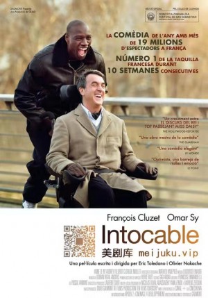 触不可及/闪亮人生/Intouchables.2011