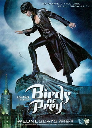 猛禽小队/Birds of Prey.第一季全集