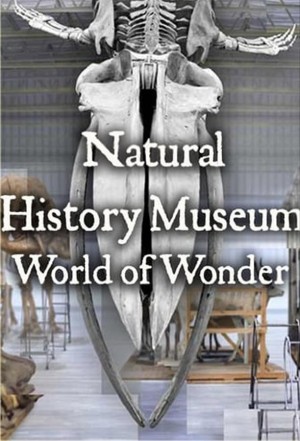 英国自然历史博物馆：神奇世界/Natural History Museum: World of Wonder.第一季全4集