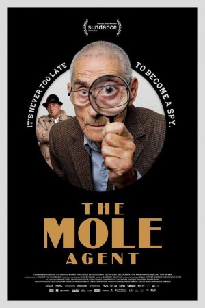 名侦探赛大爷/The Mole Agent.2020