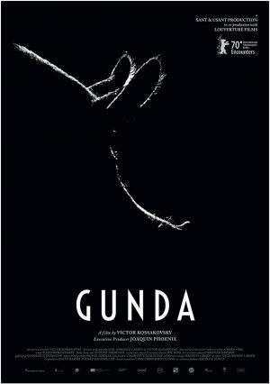 贡达/Gunda‎.2020