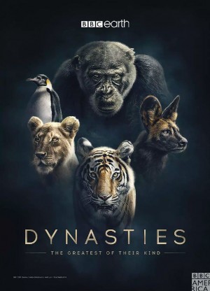 动物王朝/王朝.Dynasties.第一季全5集