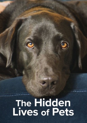 宠物的秘密生活/The Hidden Lives of Pets.第一季全4集