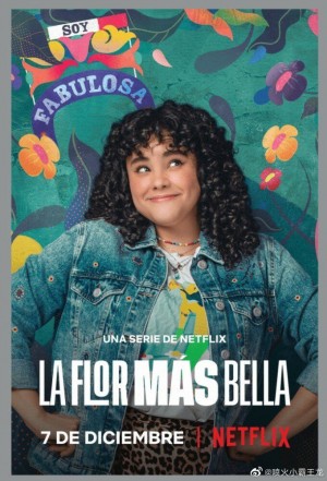 最美一枝花/La flor más bella.第一季全10集