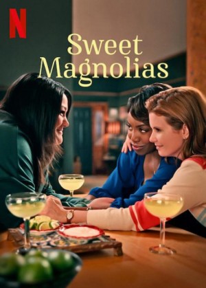 甜木兰/钢木兰花/Sweet Magnolias.1-4季全集