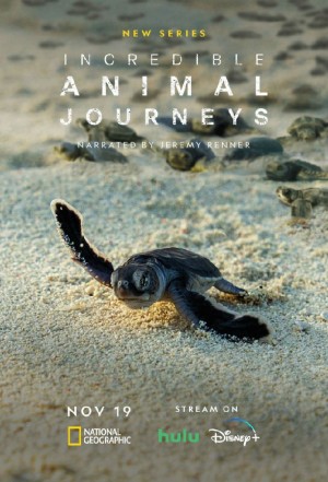 不可思议的动物之旅/Incredible Animal Journeys.第一季全7集