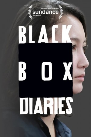 黑箱日记/Black Box Diaries.2024