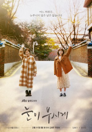 耀眼/눈이 부시게.2019.[韩剧].全12集