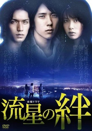 流星之绊/流星の絆.2008.[日剧].全10集