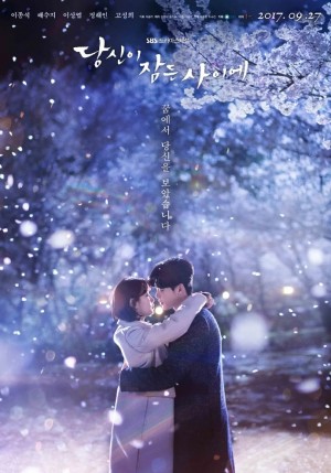 当你沉睡时/당신이 잠든 사이에.2017.[韩剧].全16集