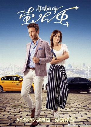 萤火虫/Atesböcegi.第一季全17集