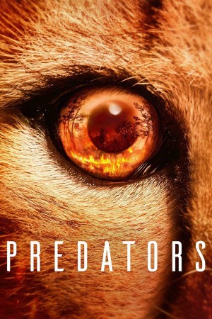 食肉动物/Predators.第一季全5集