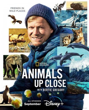 贝尔蒂·格雷戈里：与动物零距离/Animals Up Close with Bertie Gregory.第一季全6集