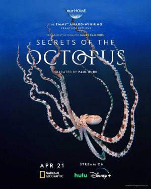 章鱼的秘密/Secrets of the Octopus.第一季全3集