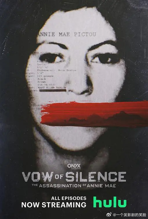 沉默的誓言：安妮·梅的暗杀/Vow of Silence: The Assassination of Annie Mae.第一季全4集