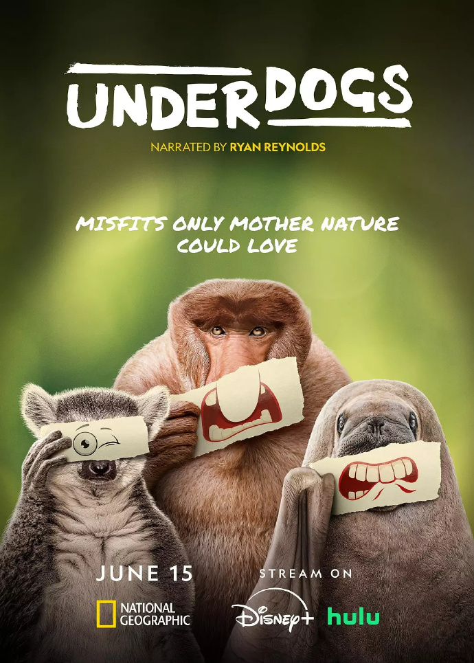 废柴英雄/Underdogs.第一季全5集